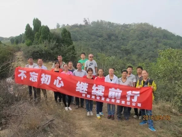 禹宏置業公司組織開展戶外登山活動 禹宏置業公司組織開展戶外登山活動