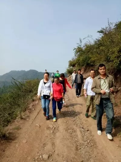 禹宏置業公司組織開展戶外登山活動 禹宏置業公司組織開展戶外登山活動