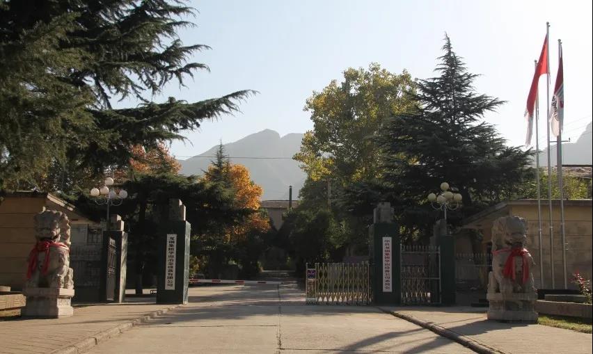 ��������غ�ꇵ� ���ľS�o���C���o�����Aұ��˾늙C��^��ˮϵ�y���޼o��