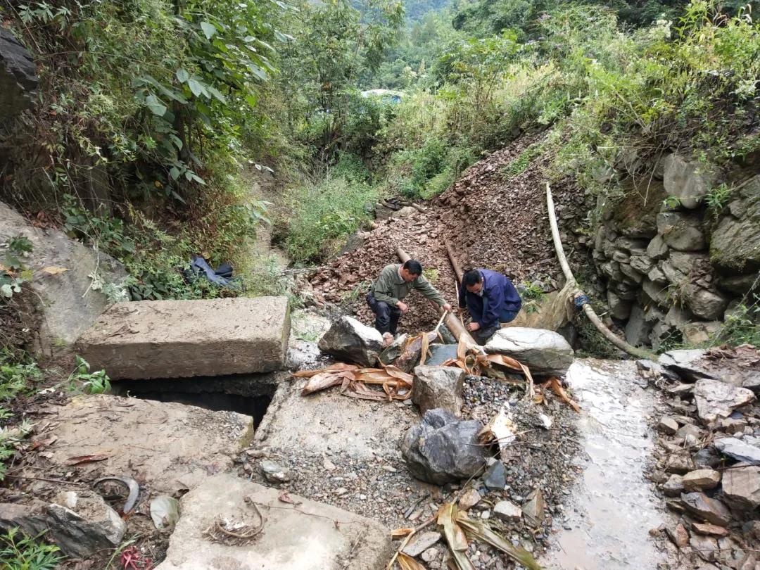 �����������C��������