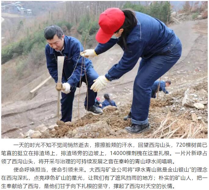 �������� ��G���С�����䓼��F�����ϵV�I��˾ �_չ��3.12��ֲ����