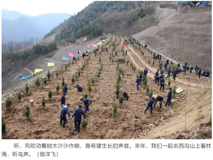 �������� ��G���С�����䓼��F�����ϵV�I��˾ �_չ��3.12��ֲ����